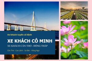 Chành xe Cô Minh: Gửi hàng Cần Thơ đi Đồng Tháp